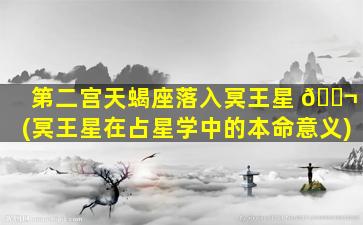 第二宫天蝎座落入冥王星 🐬 (冥王星在占星学中的本命意义)
